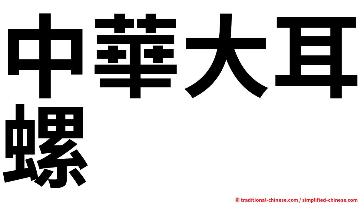 中華大耳螺