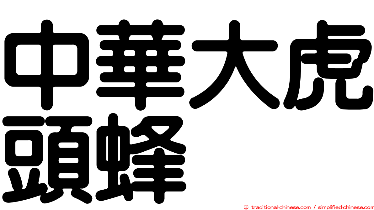 中華大虎頭蜂