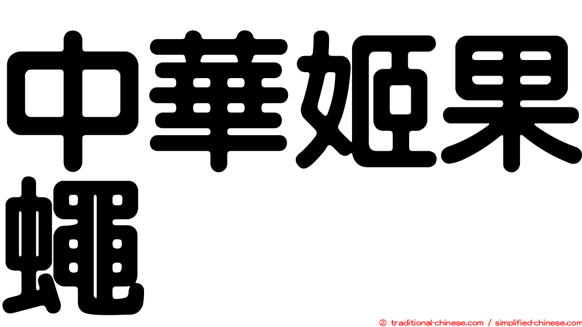 中華姬果蠅