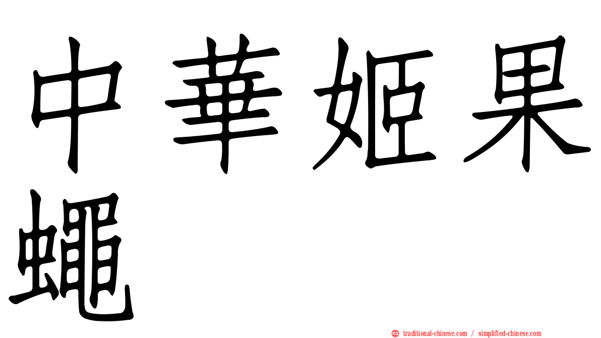 中華姬果蠅