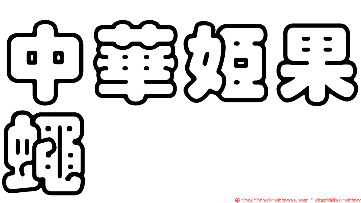 中華姬果蠅