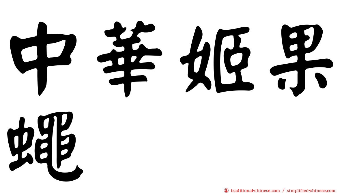 中華姬果蠅