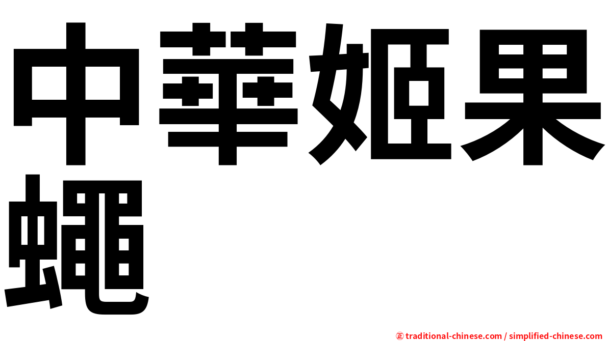 中華姬果蠅