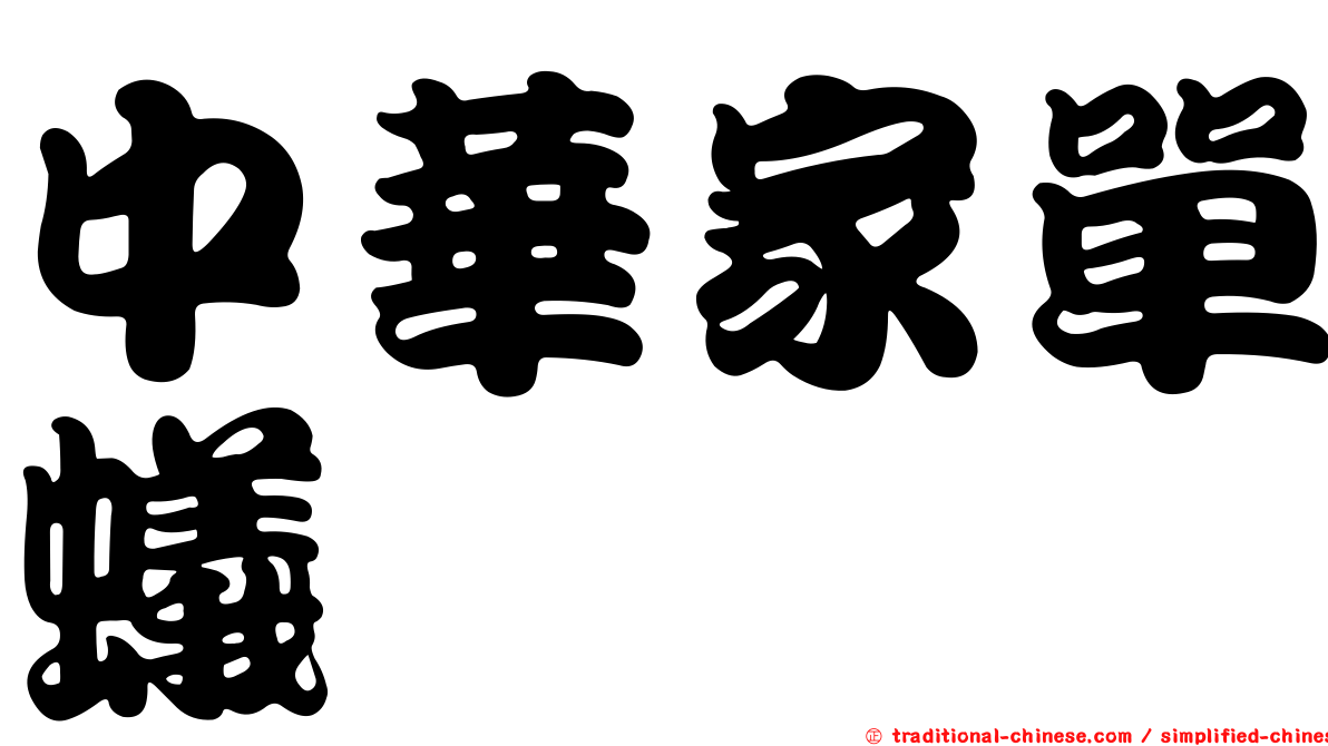 中華家單蟻