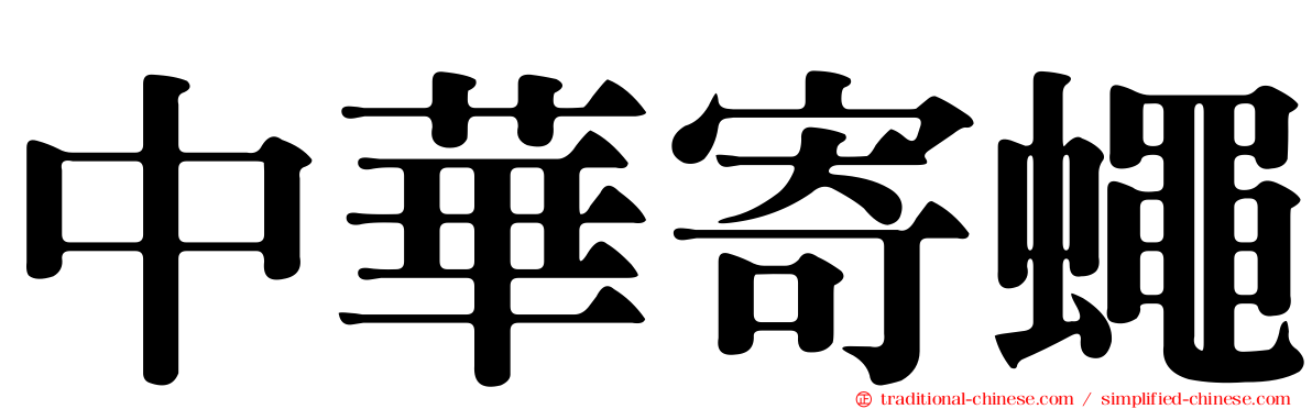 中華寄蠅