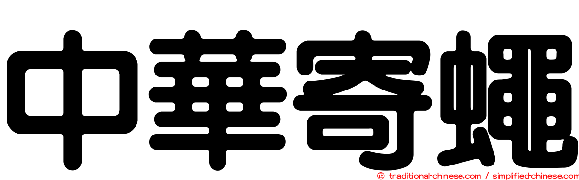 中華寄蠅