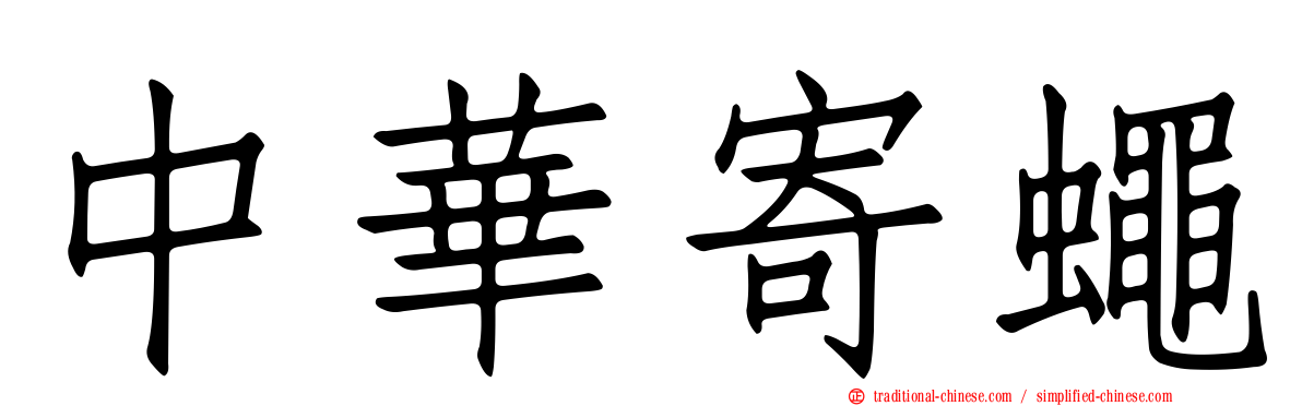 中華寄蠅