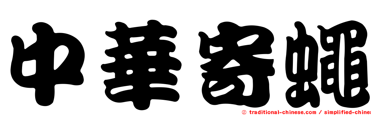 中華寄蠅