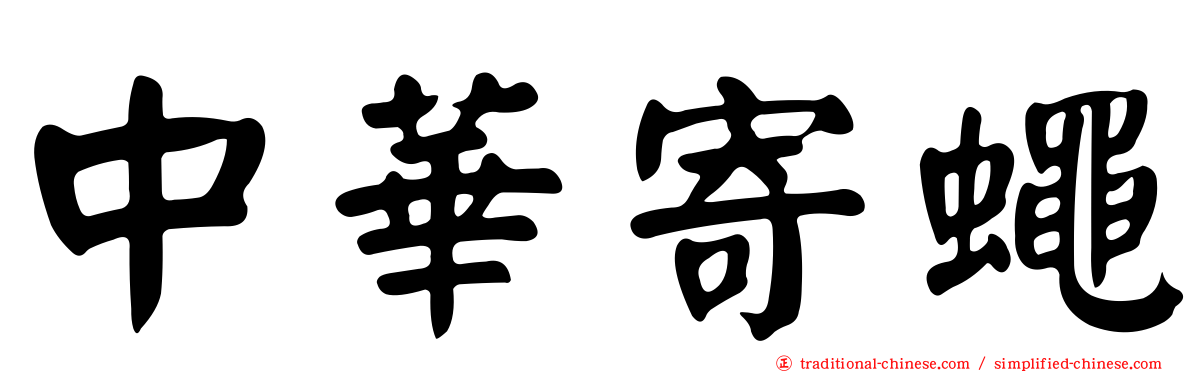 中華寄蠅