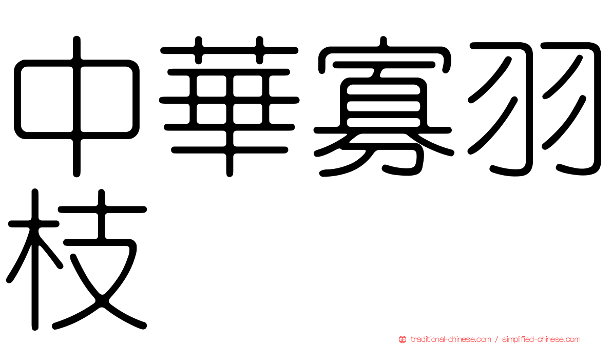 中華寡羽枝