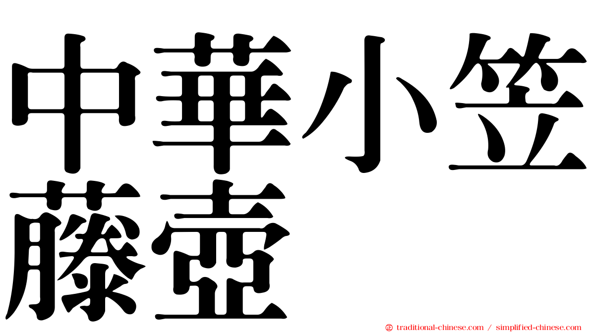 中華小笠藤壺