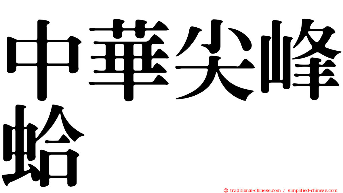 中華尖峰蛤