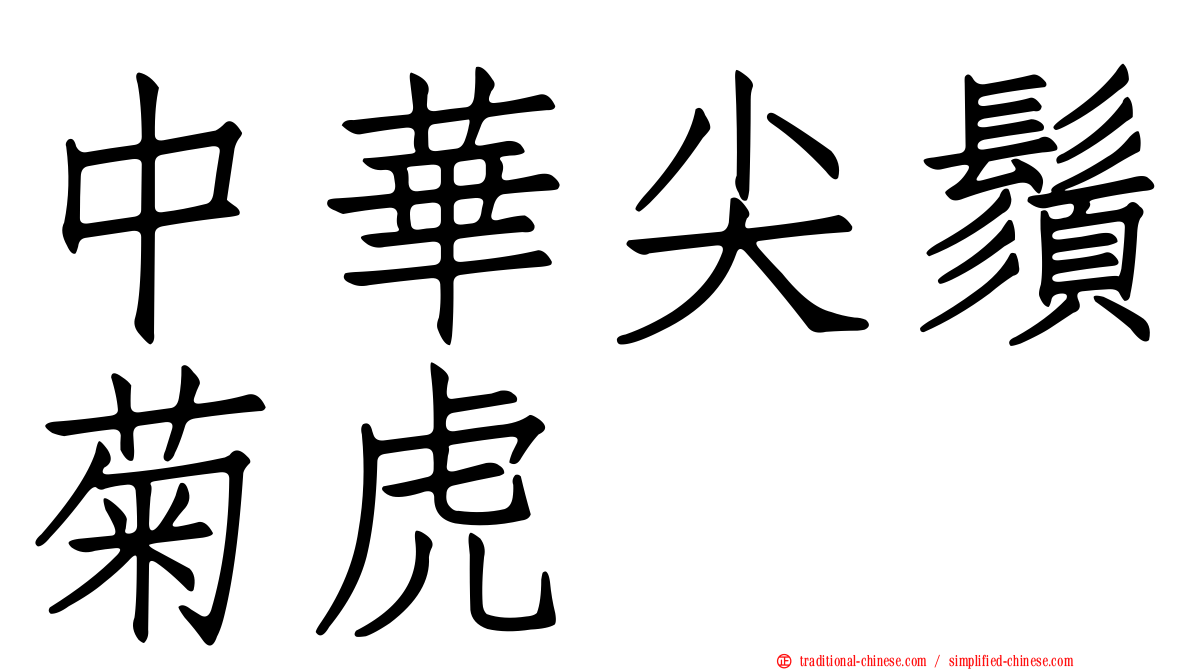 中華尖鬚菊虎