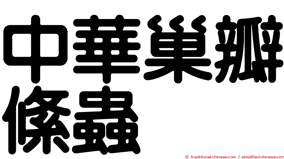中華巢瓣絛蟲