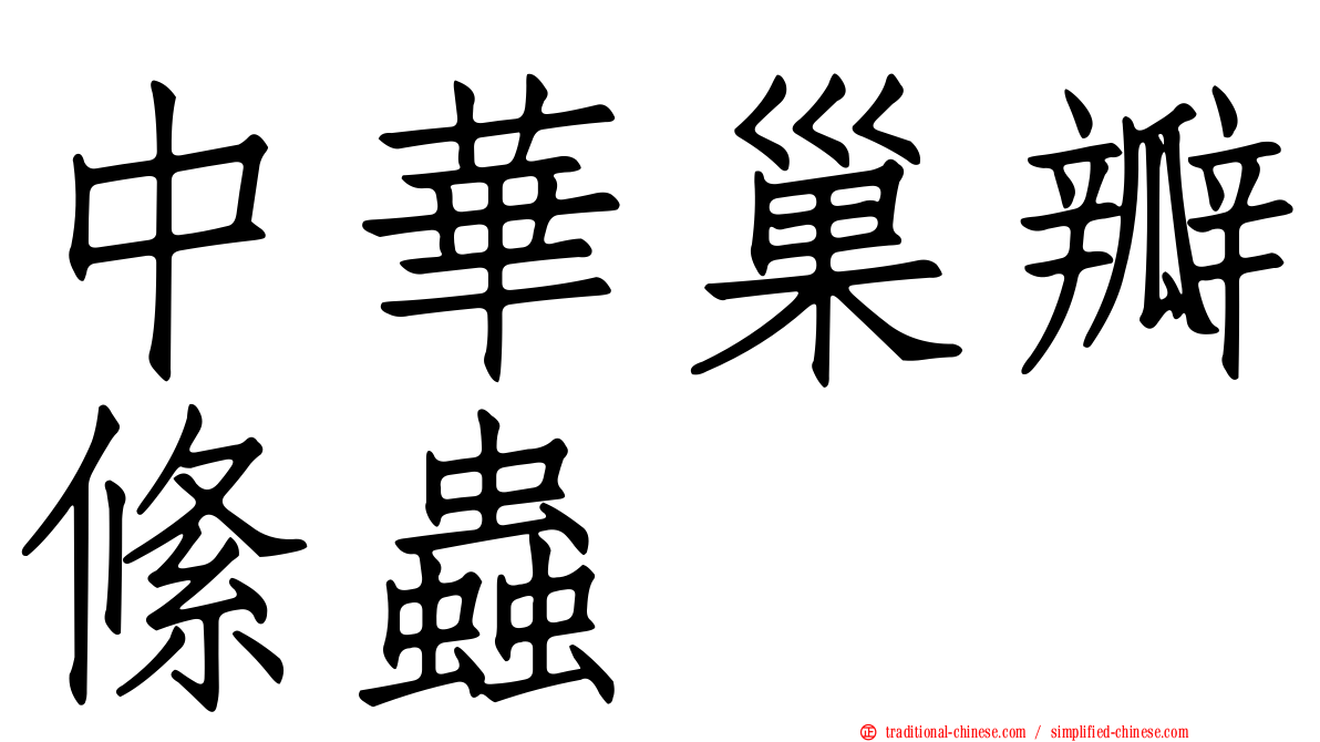 中華巢瓣絛蟲