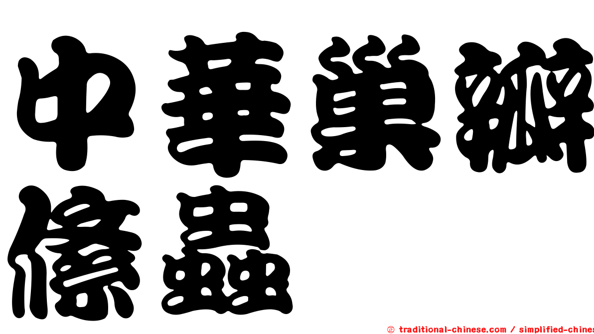 中華巢瓣絛蟲