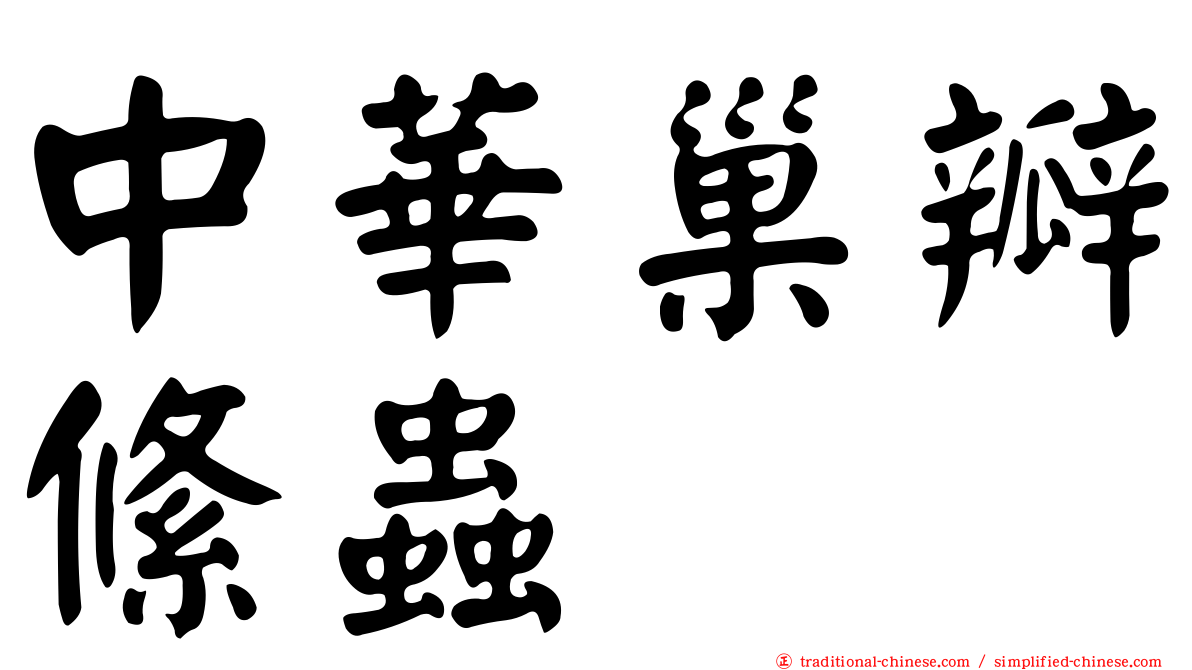 中華巢瓣絛蟲