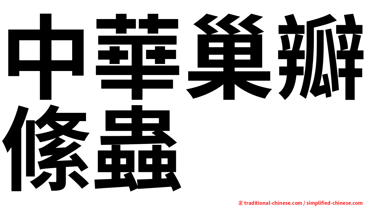 中華巢瓣絛蟲