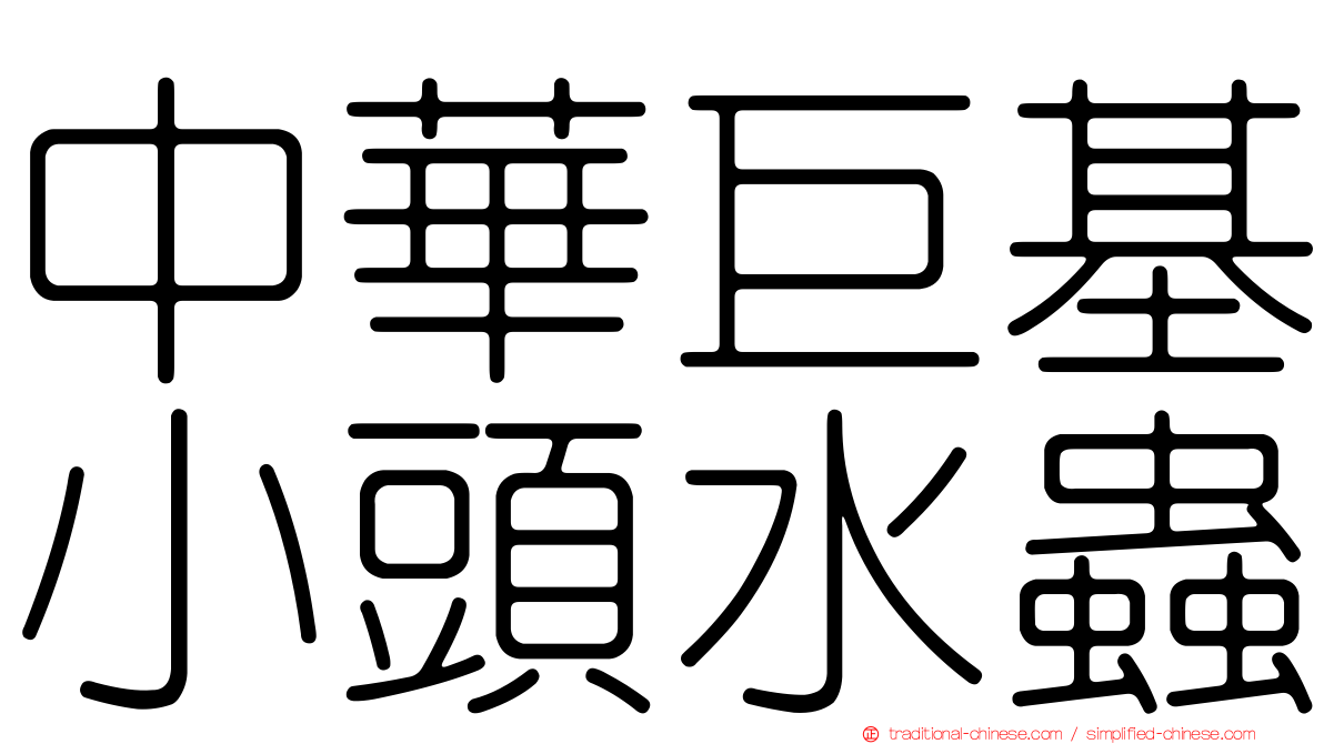 中華巨基小頭水蟲