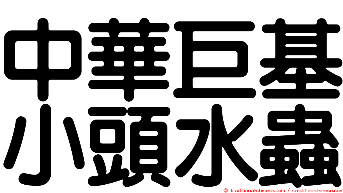 中華巨基小頭水蟲