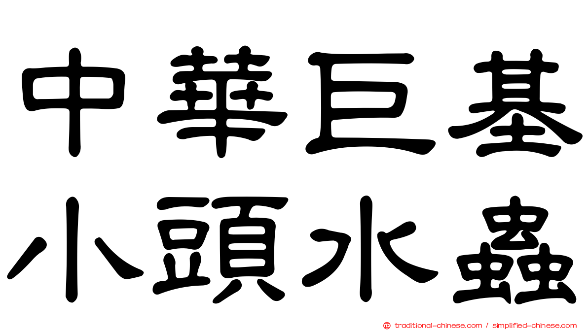 中華巨基小頭水蟲