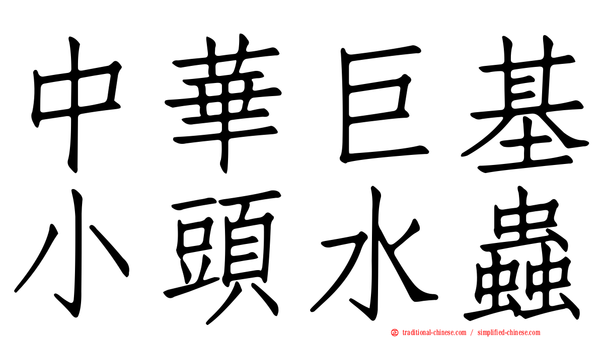 中華巨基小頭水蟲