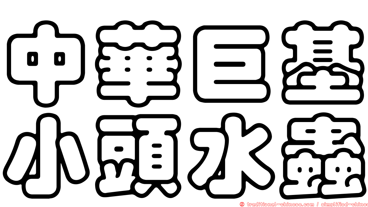 中華巨基小頭水蟲