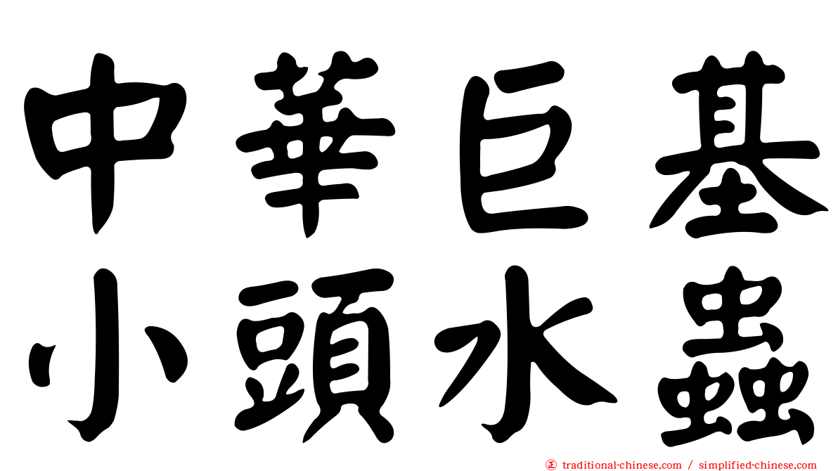 中華巨基小頭水蟲