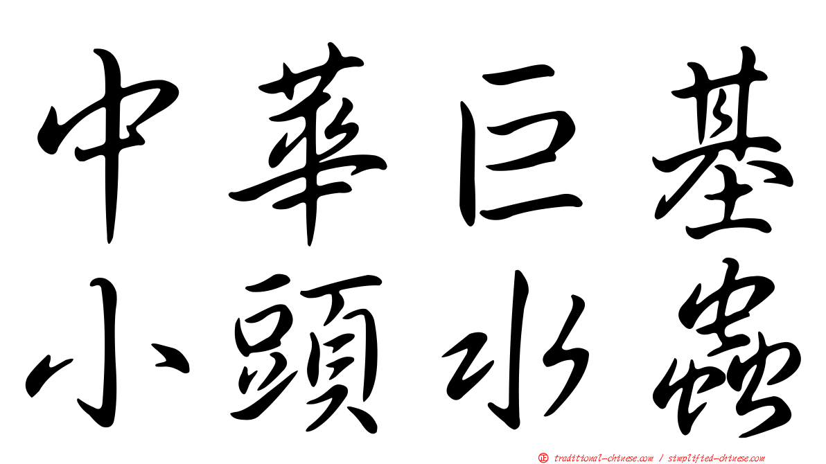 中華巨基小頭水蟲