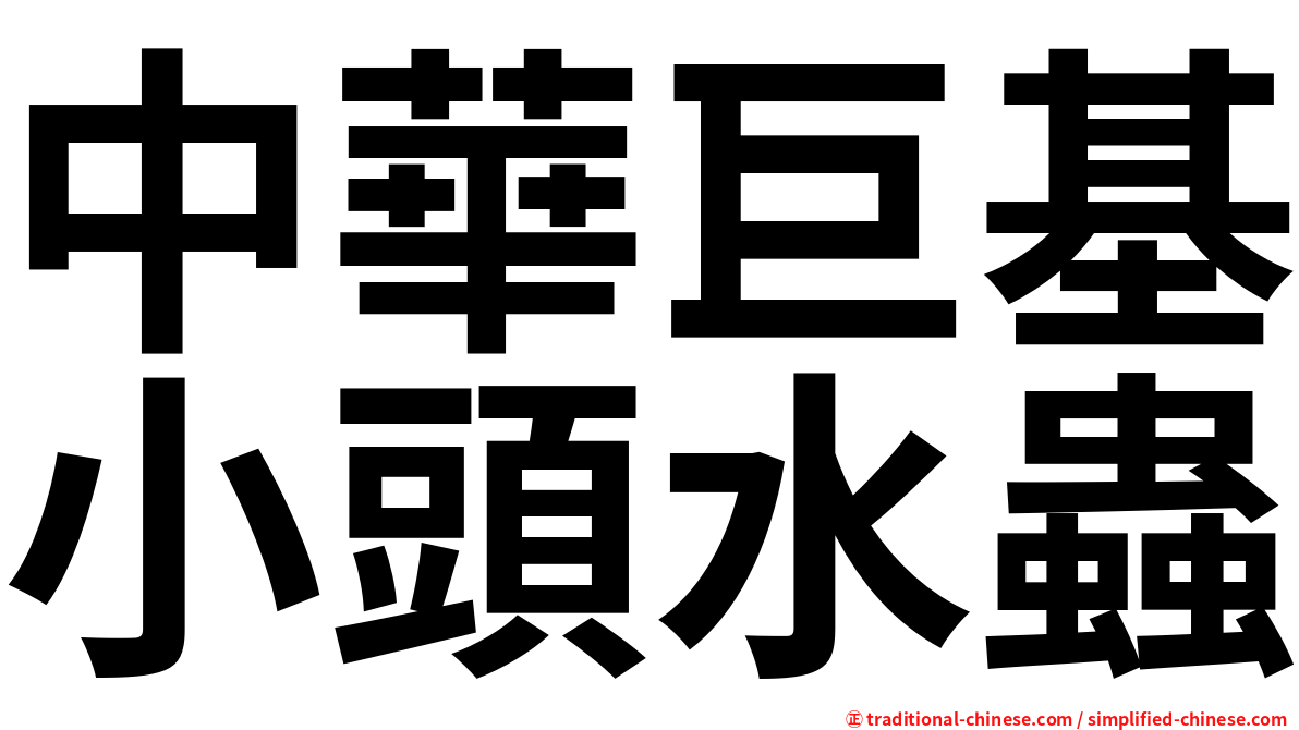中華巨基小頭水蟲