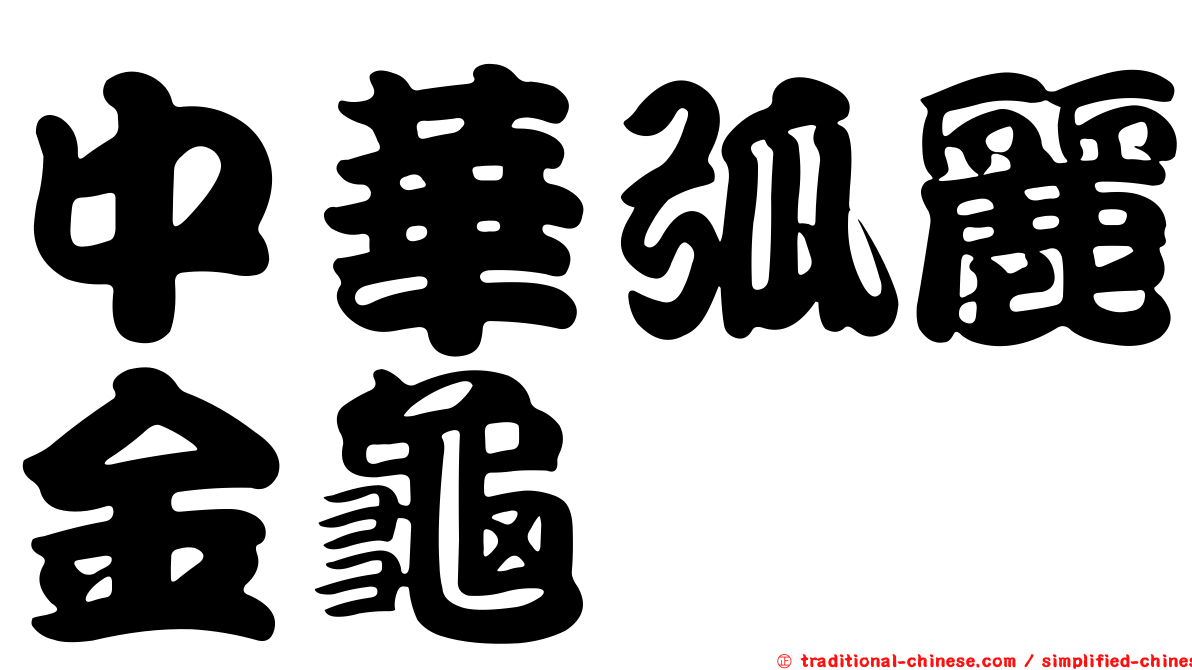 中華弧麗金龜
