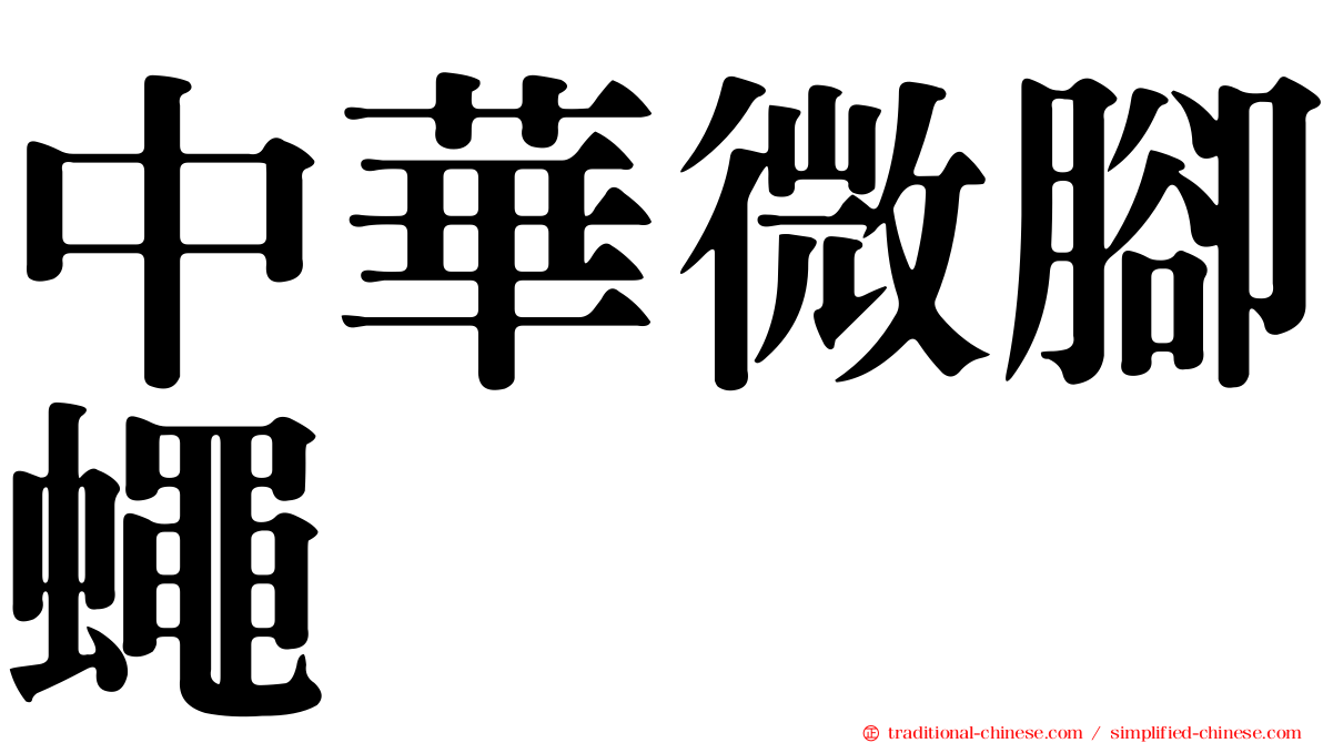 中華微腳蠅
