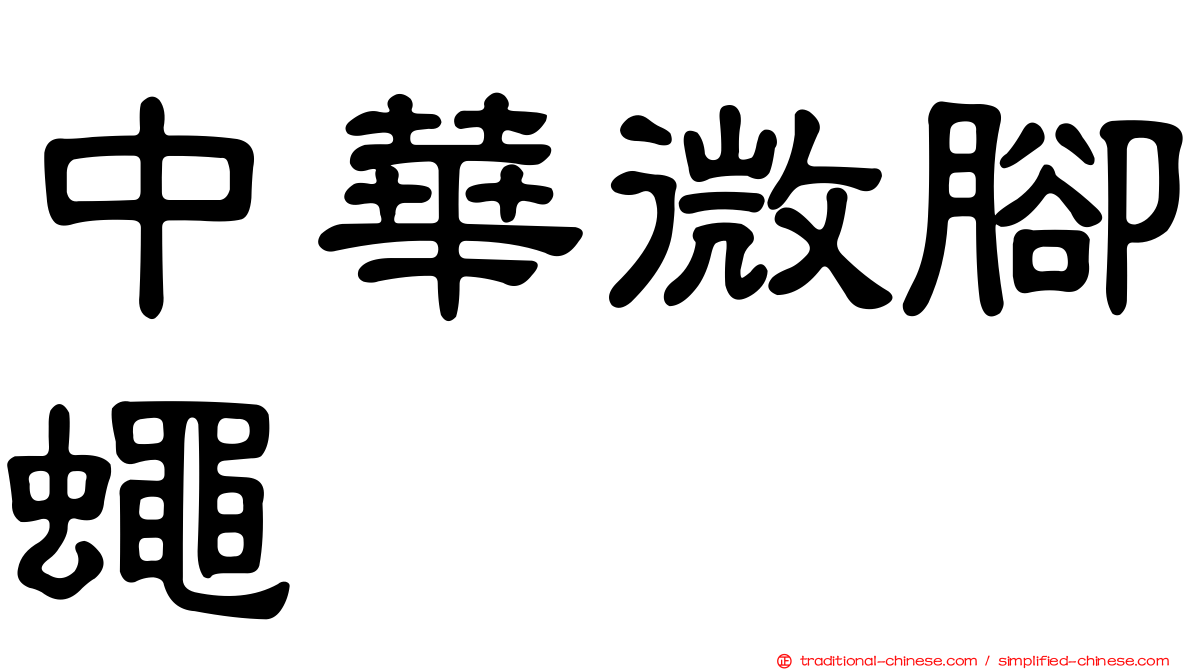 中華微腳蠅