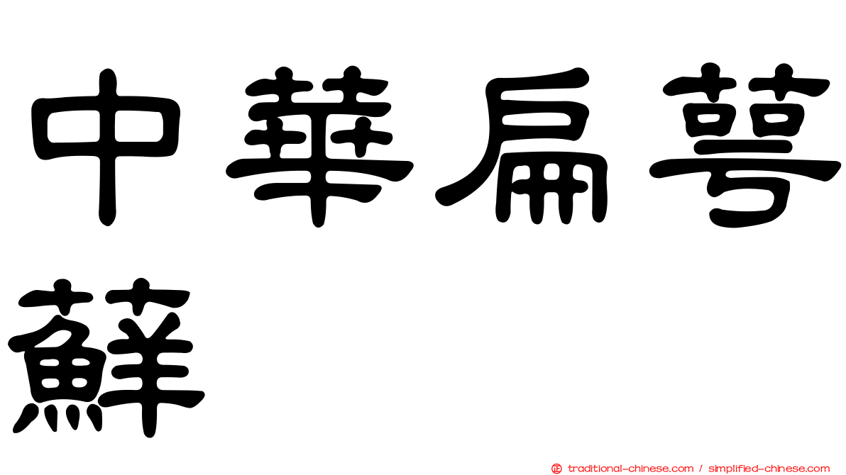 中華扁萼蘚
