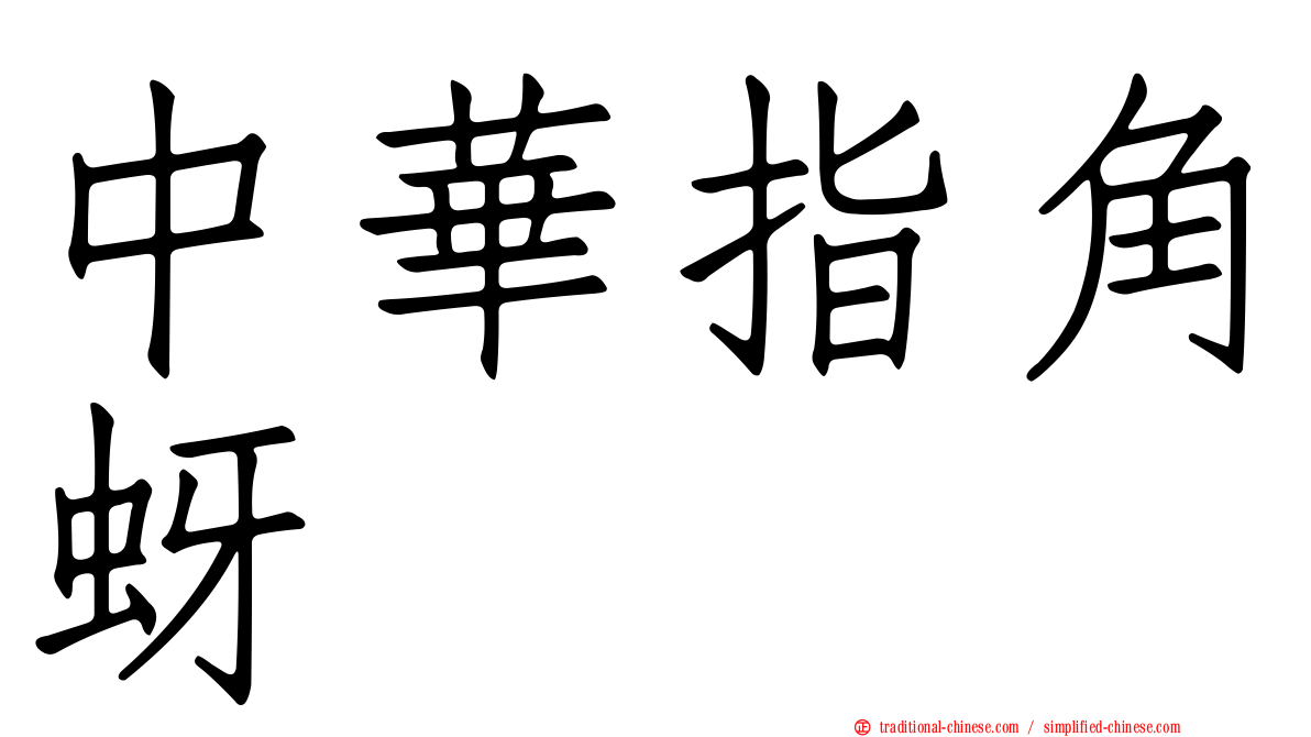 中華指角蚜