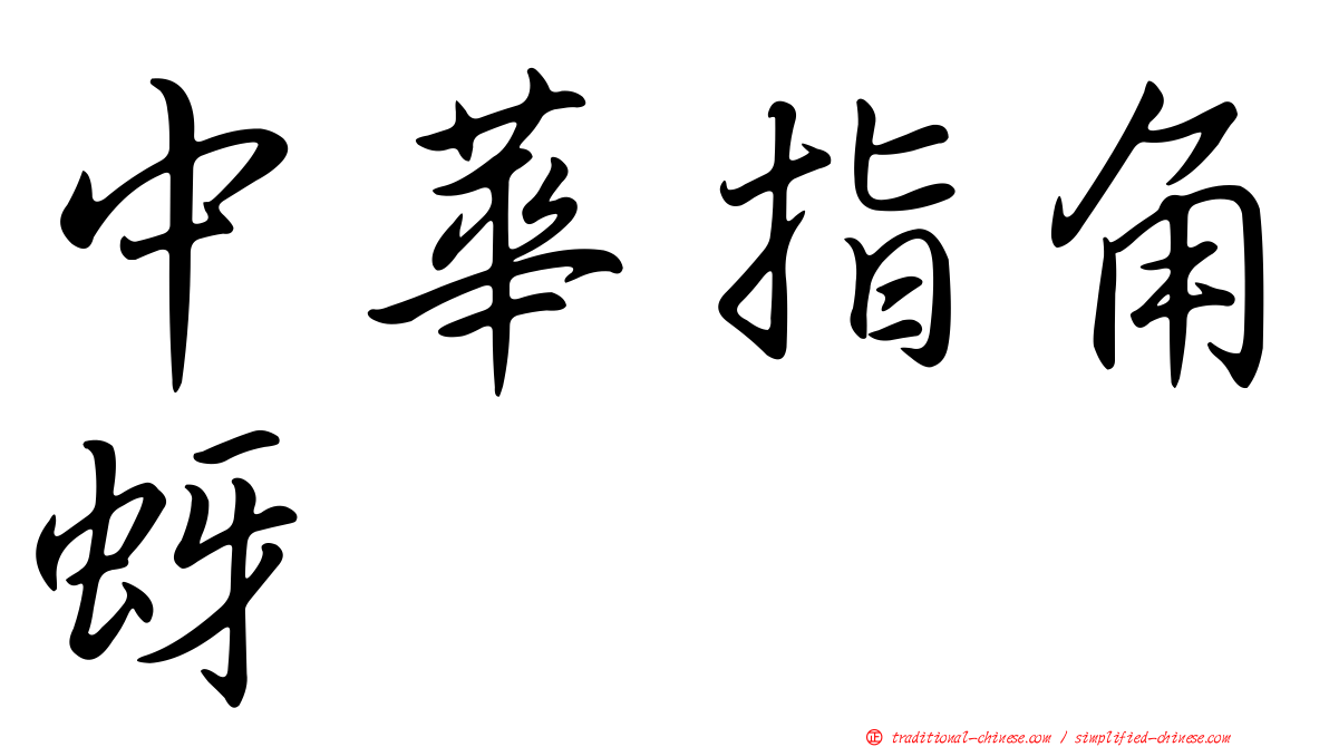 中華指角蚜