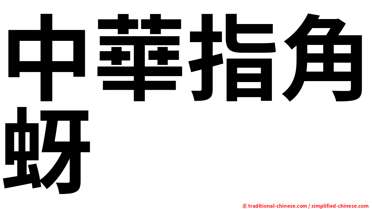 中華指角蚜
