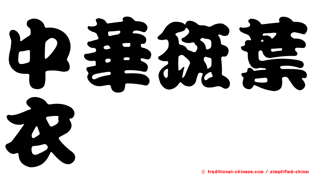 中華斑葉衣