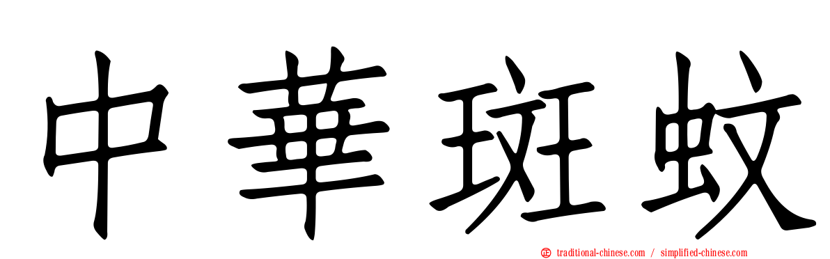 中華斑蚊