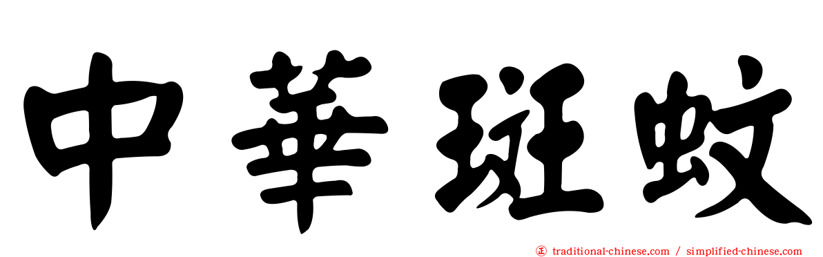 中華斑蚊