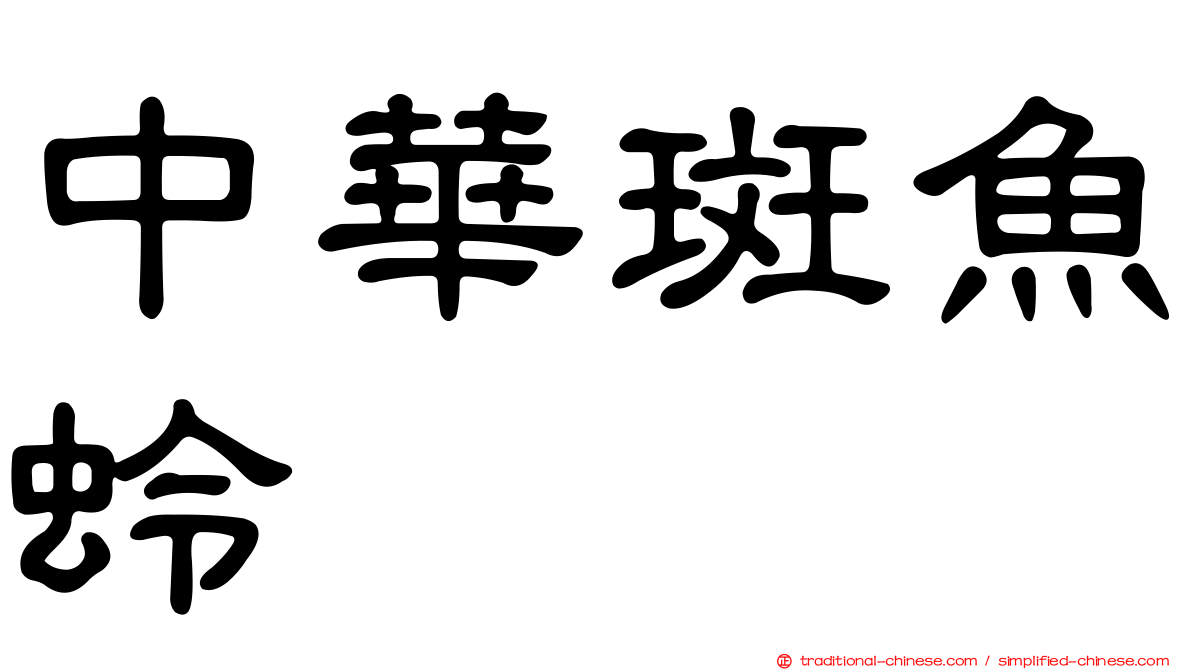 中華斑魚蛉