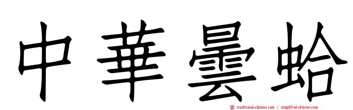 中華曇蛤