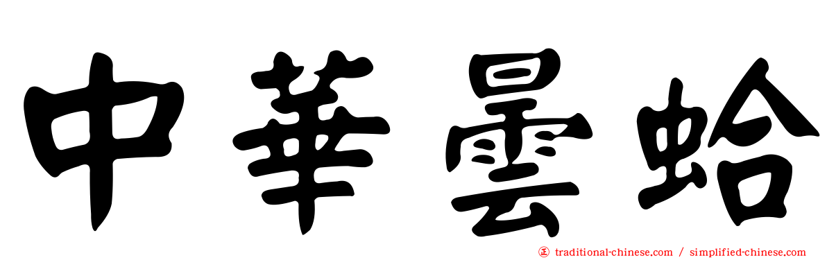 中華曇蛤
