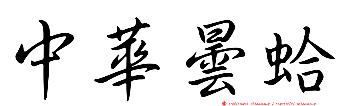 中華曇蛤
