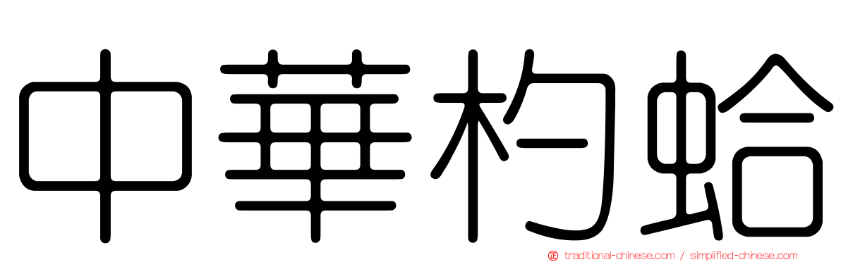 中華杓蛤