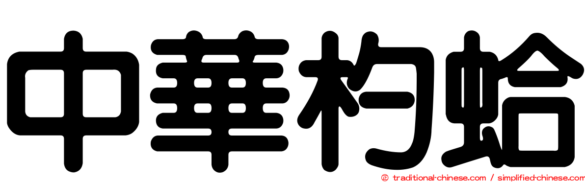 中華杓蛤