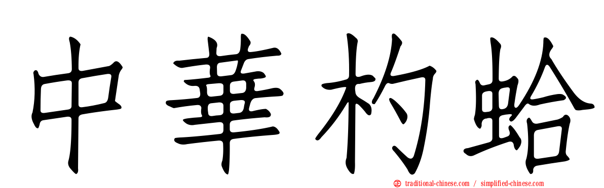 中華杓蛤