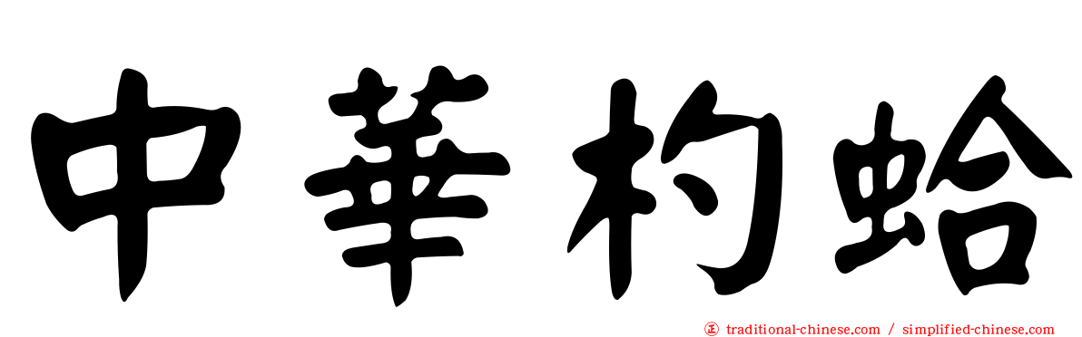 中華杓蛤