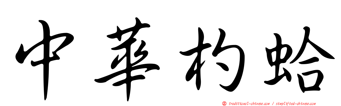 中華杓蛤