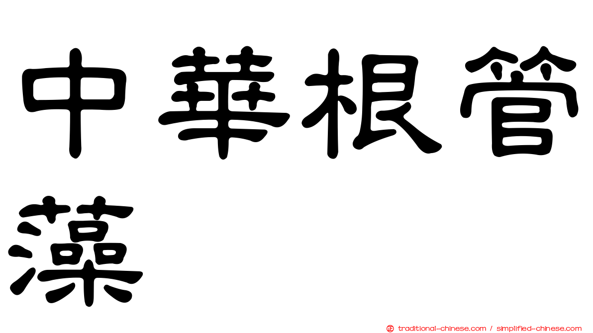 中華根管藻